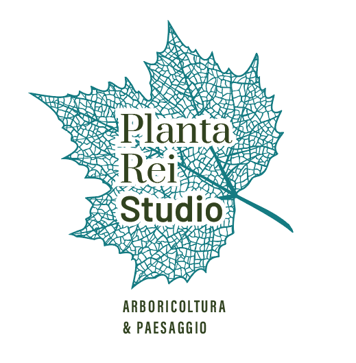 Plantarei